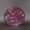 Small Purple Plate - Image 2